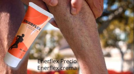 Mercado Libre Enerflex